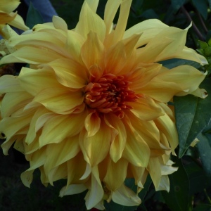 Schloss Dyck mit B. 30