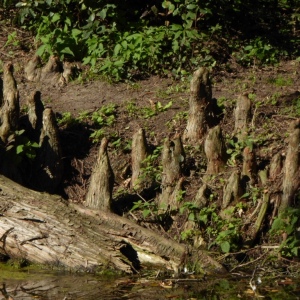 Schloss Dyck mit B. 02