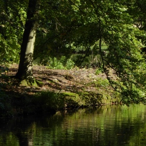 Schloss Dyck mit B. 05